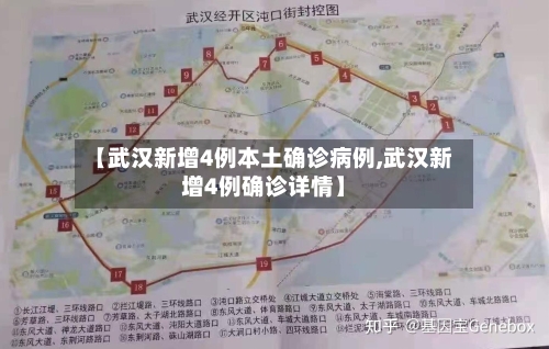 【武汉新增4例本土确诊病例,武汉新增4例确诊详情】-第3张图片