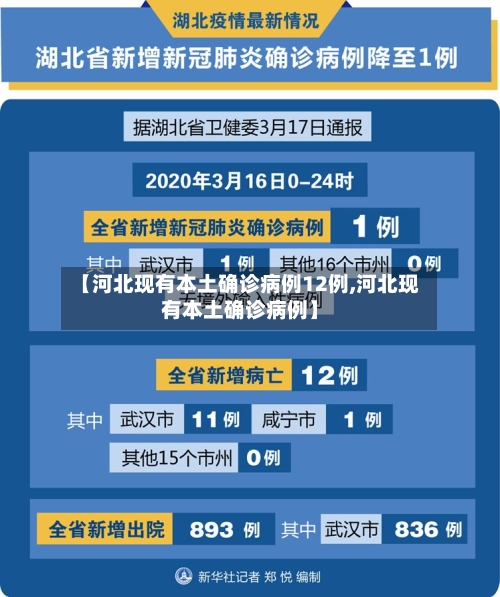 【河北现有本土确诊病例12例,河北现有本土确诊病例】